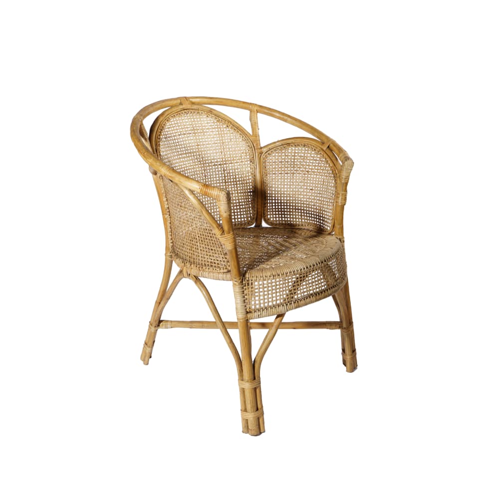 Cane Armchair - view 3, Ceylon Cane Crafts Sri Lanka